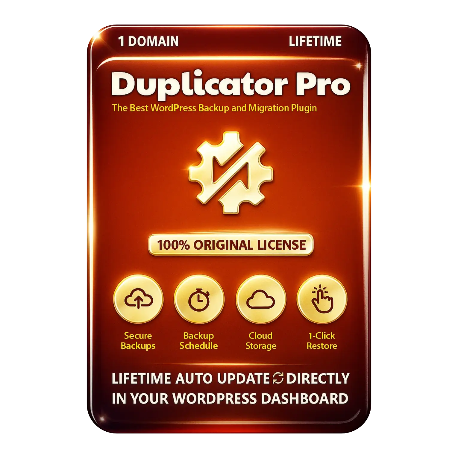 Duplicator Pro Original License Lifetime Auto Update - Image 1